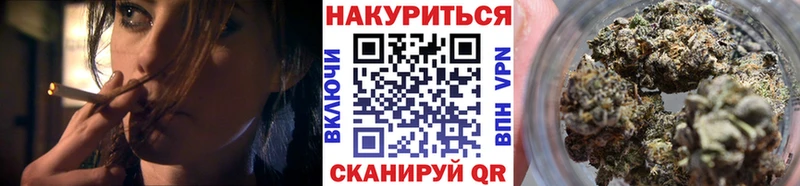 Купить где  Среднеколымск  Бошки Шишки ГИДРОПОН 